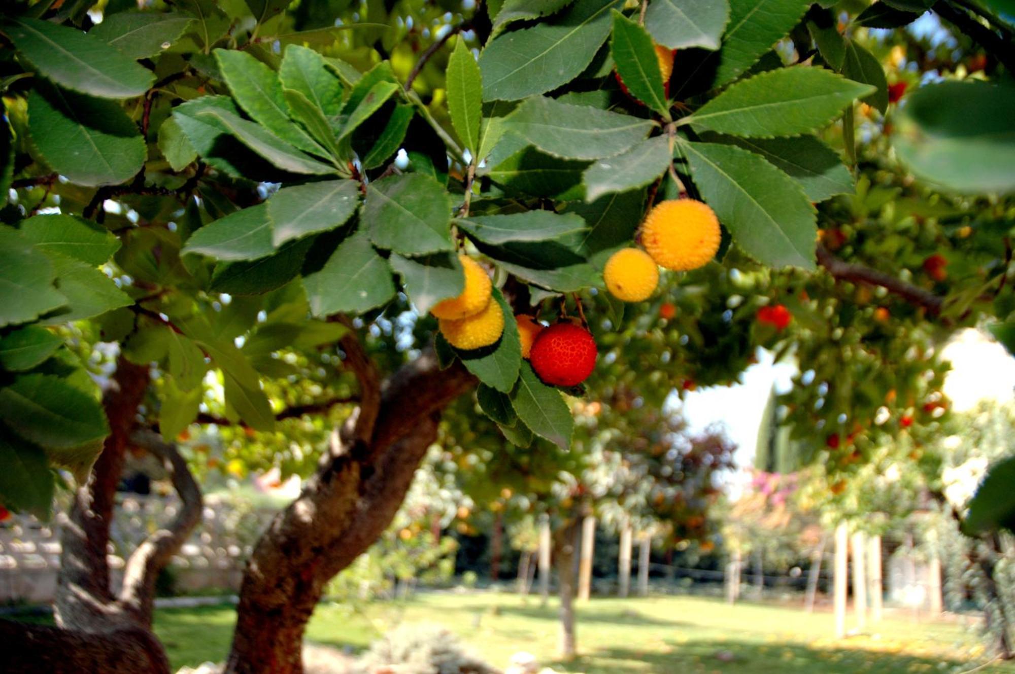מלון רובו די פוליה Casa Dolce Casa Ruvo מראה חיצוני תמונה